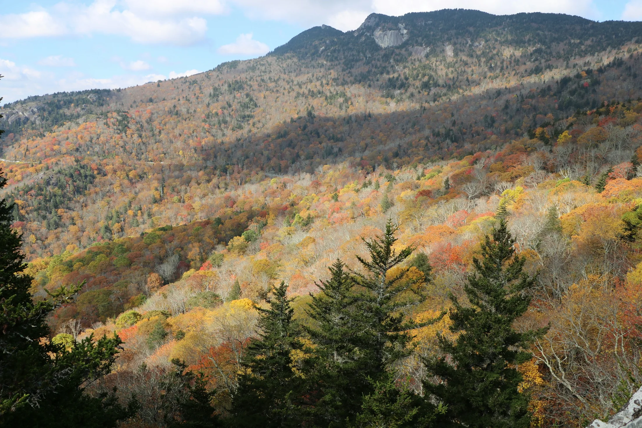 Autumn landscape near Linn Cove Viaduct and Newland, North Carolina